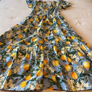 Anthropologie Somerset Maxi Rare Floral Lemon Print Maxi Dress Medium EUC